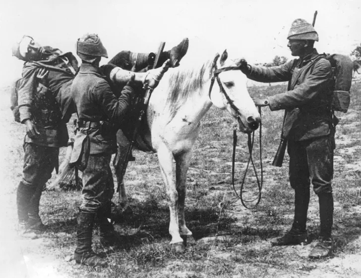 Çanakkale Muharebeleri'nin ilk ateşkes girişimi sanılandan önce başladı
