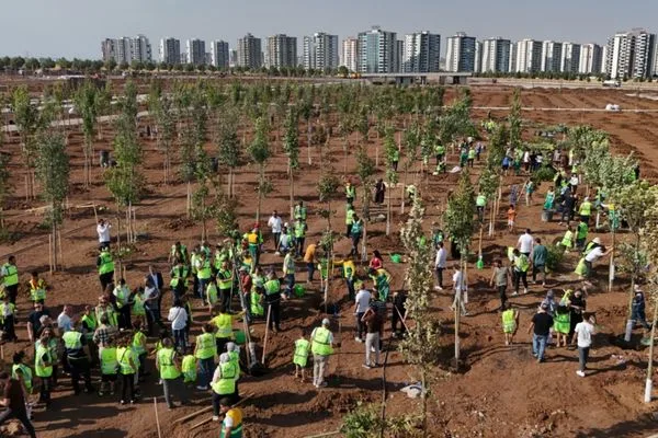 Diyarbakır’da binlerce fidan toprakla buluştu