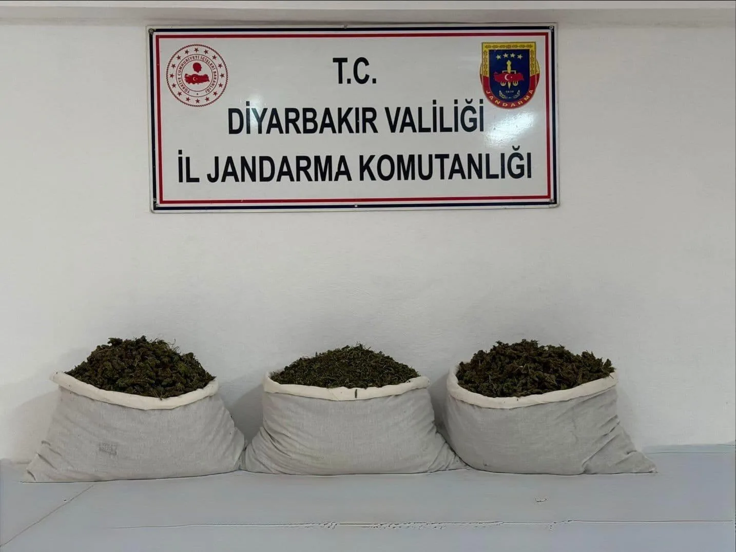 Diyarbakır’da jandarma operasyonlarında 253 bin kök kenevir skunk ele geçirildi