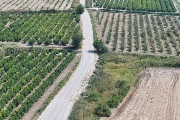 Pamukkale Belediyesi, Kocadere’de 12 kilometrelik arazi yolunu yeniledi