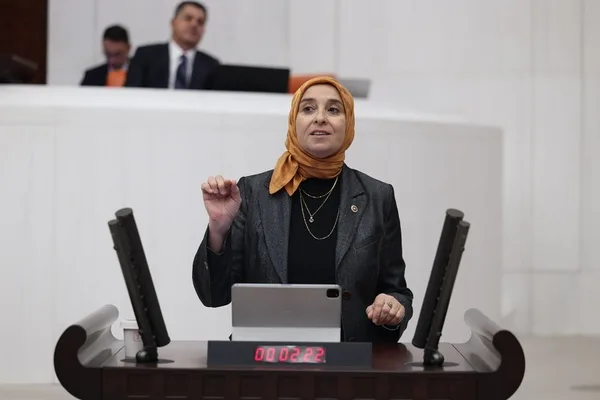 Elif Esen: Staj ve çıraklık düzenlemesinin kapsamı ve takvimi açıklanmalı