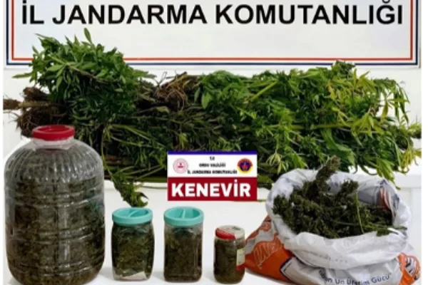 Ordu Akkuş’ta uyuşturucu operasyonu: 2 şüpheli gözaltında