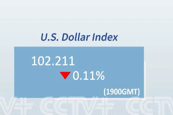 Dolar endeksi yüzde 0,11 düşerek 102,211 seviyesine geriledi