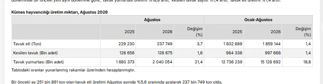 Tavuk eti üretimi ağustosta 237 bin 749 tona gerilerken yumurta üretimi 2,04 milyar adede ulaştı