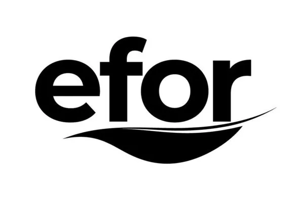 Efor Holding'in Efor Yatırım pay alım planı üst limiti 5 milyar TL'ye çıkarıldı