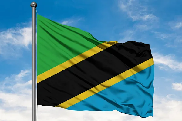 Tanzanya ve İsviçre, Dodoma’da uluslararası hukuk konularını görüştü