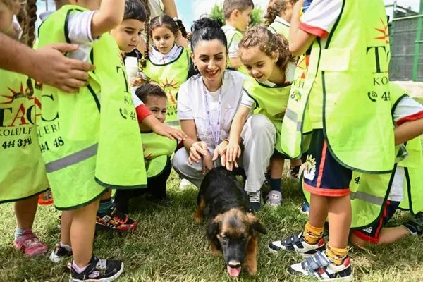 Muratpaşa’da 287 sokak hayvanı sahiplendirildi