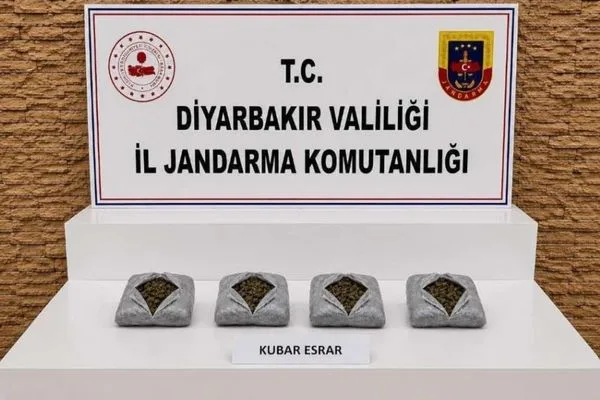 Diyarbakır’daki uyuşturucu operasyonlarında 57 bin 702 kök kenevir ele geçirildi