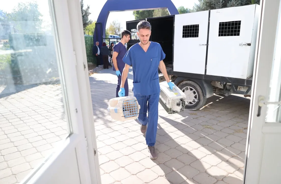 Buca Belediyesi, sahipli hayvanlara işlem yapıldığı iddialarını yanıtladı