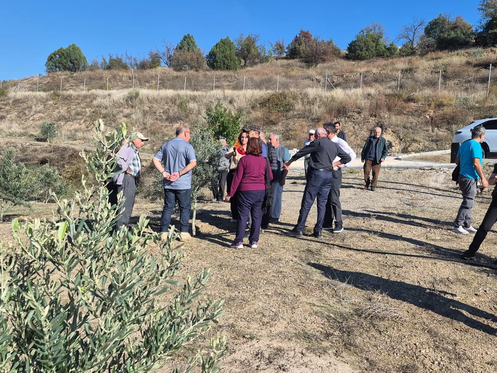 Eskişehir’de zeytin üreticilerine iki aşamalı uygulamalı eğitim