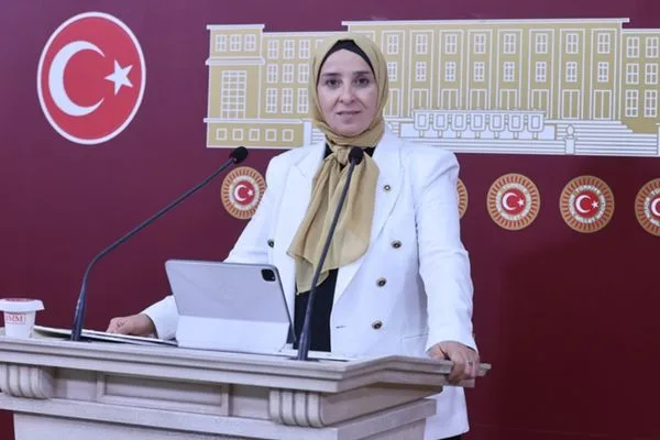 Esen: “Hükümetin refah bütçesi, vatandaşın sabır bütçesi