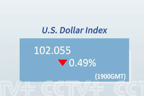 Dolar endeksi yüzde 0,49 düşüşle 102,055 seviyesine geriledi