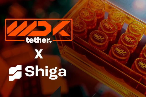 Tether ve Shiga’dan Afrika ve Körfez ülkelerine yönelik finansal iş birliği