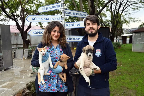 Yalova Belediyesi sahipsiz hayvanların sağlık kontrolleri ve tedavilerini sürdürüyor
