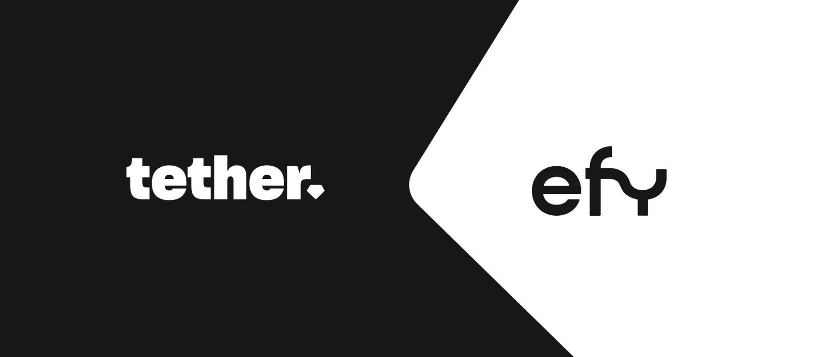 Tether, Latin Amerika merkezli EFY Finance’e yatırım yaptı
