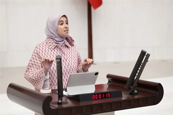 Esen: Meclis, kamu makamlarının idari ve siyasi sorumluluğunu araştırsın