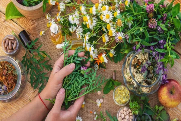 İstanbul’da tıbbi ve aromatik bitki yetiştiriciliği eğitimi alan 40 kadın sertifika aldı