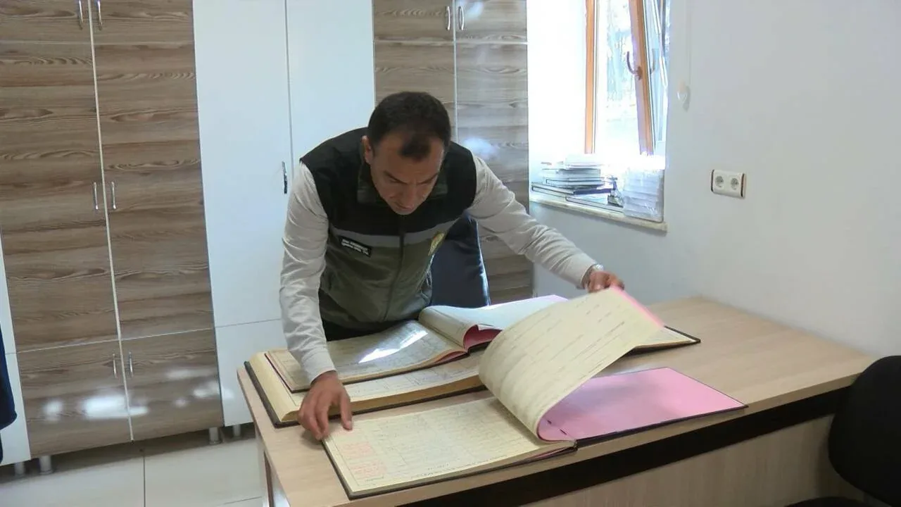 dna ornekleri alinan atlara mikrocip ile kimlik numarasi verilip nufus kayitlari tutuluyor e4be3a4fd871