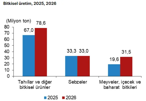 TÜİK: Tahıl üretiminin 2026'da yüzde 30,9 artması bekleniyor