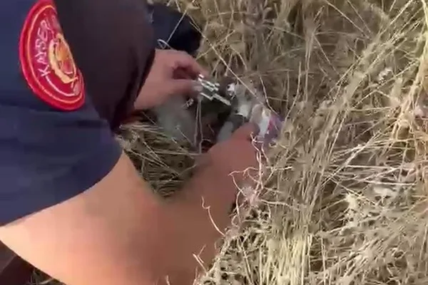 Kayseri'de kafası konserve kutusuna sıkışan kedi itfaiye ekiplerince kurtarıldı