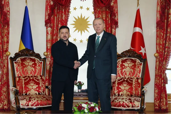 Erdoğan, çalışma ziyareti için Türkiye’de bulunan Zelenski’yi kabul etti