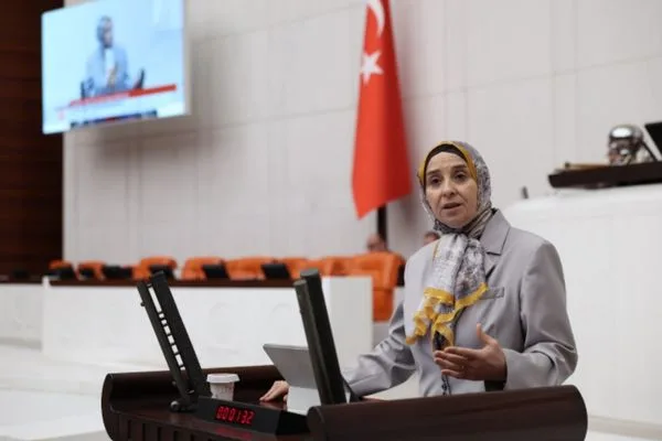 Esen, Türkiye ile Azerbaycan arasındaki gerilimin kimin işine yaradığını sordu