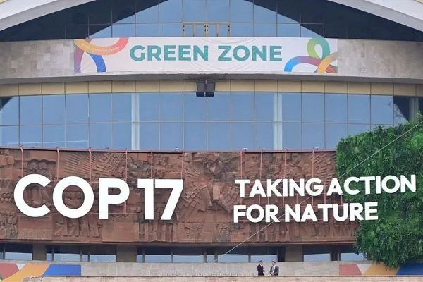 COP17 Başkanı Matevosyan: Çin, müzakerelerin ilerlemesine önemli katkı sunuyor