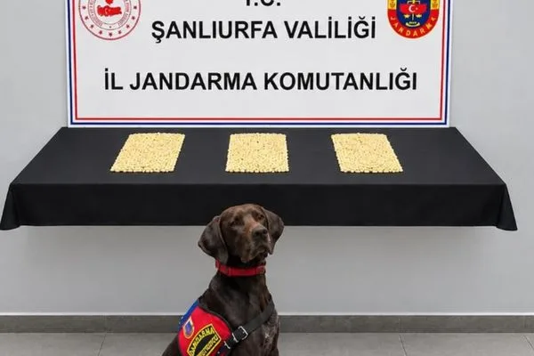 Şanlıurfa’da operasyonda 2 bin 970 Captagon hapı ele geçirildi