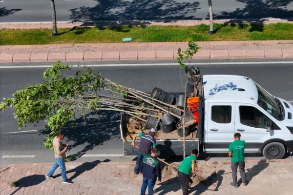 Kayseri’de kuruyan ağaçların yerine iklime uygun yenileri dikiliyor