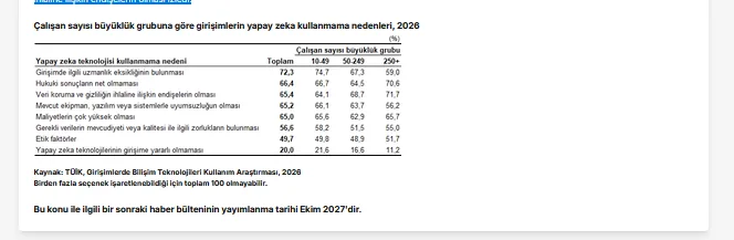 Bireyler ve girişimlerde yapay zeka kullanımı bir yılda yaklaşık iki kat arttı