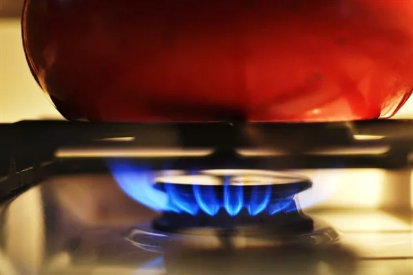 Enerya Aydın Gaz Dağıtım’ın lisans kapsamı Bozdoğan ve Efeler’de genişletildi