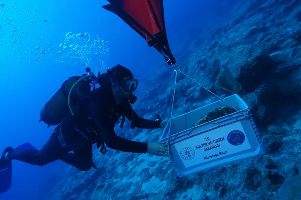 Kekova Adası açıklarında 4 bin 400-4 bin 700 yıllık amforalar bulundu